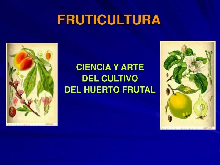 fruticultura