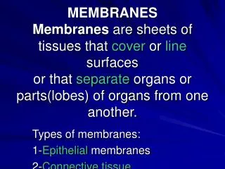 Types of membranes: 1- Epithelial membranes 2- Connective tissue membranes