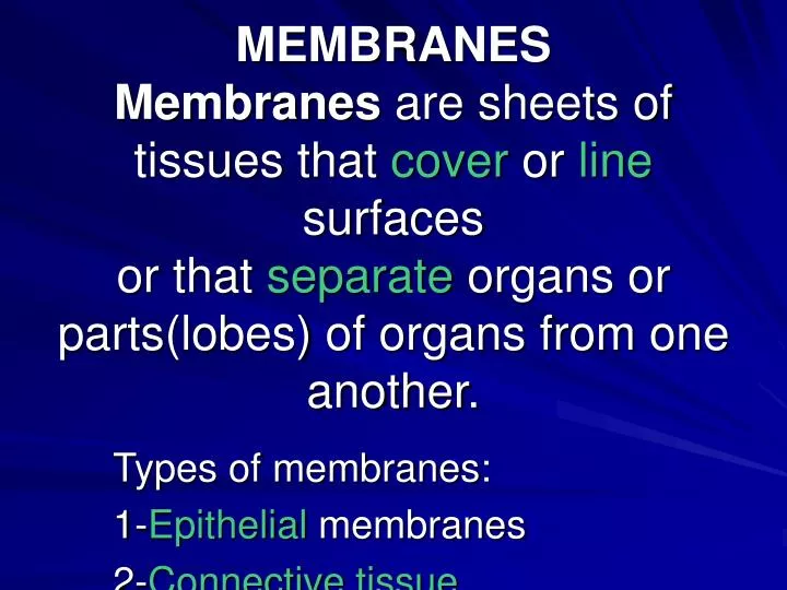 types of membranes 1 epithelial membranes 2 connective tissue membranes