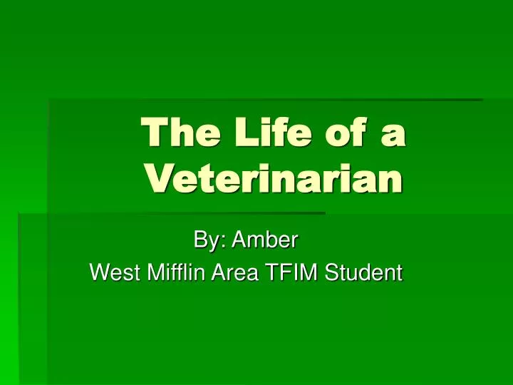 the life of a veterinarian