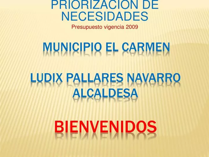 priorizaci n de necesidades presupuesto vigencia 2009