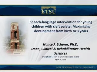 Speech-language intervention for young children with cleft palate: Maximizing development from birth to 3 years