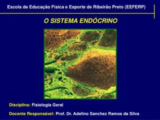 O SISTEMA ENDÓCRINO Disciplina: Fisiologia Geral Docente Responsável: Prof. Dr. Adelino Sanchez Ramos da Silva