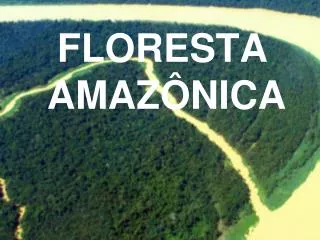 FLORESTA AMAZÔNICA