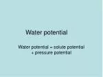 Water potential - slide 1