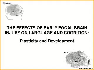 THE EFFECTS OF EARLY FOCAL BRAIN INJURY ON LANGUAGE AND COGNITION: Plasticity and Development