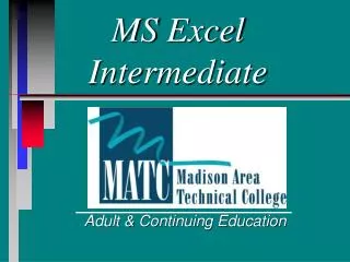 MS Excel Intermediate