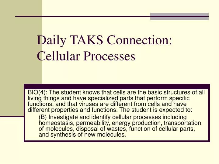 daily taks connection cellular processes