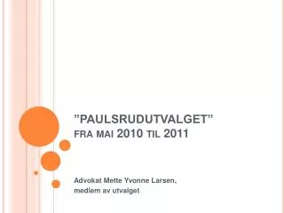 ”PAULSRUDUTVALGET” fra mai 2010 til 2011