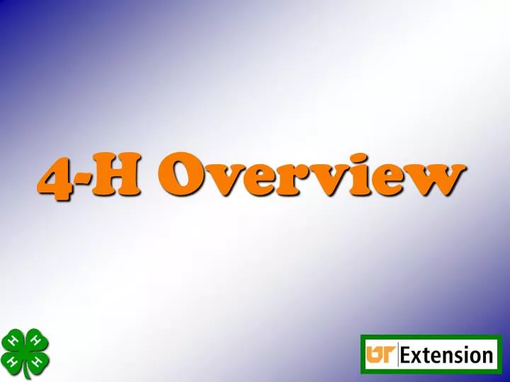 4 h overview