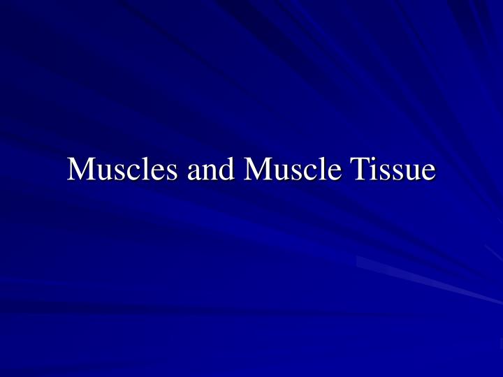 muscles and muscle tissue