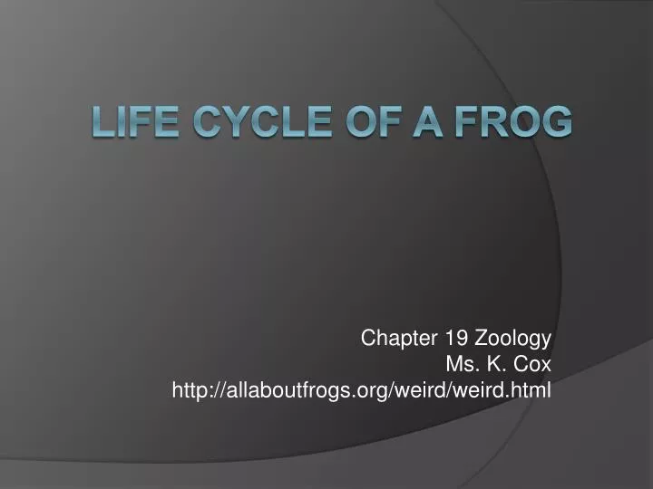 chapter 19 zoology ms k cox http allaboutfrogs org weird weird html