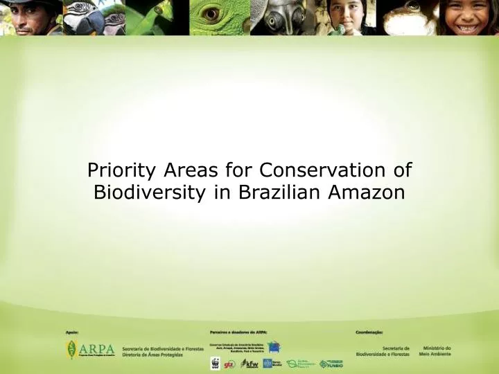 priority areas for conservation of biodiversity in brazilian amazon