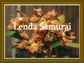 Lenda Samurai