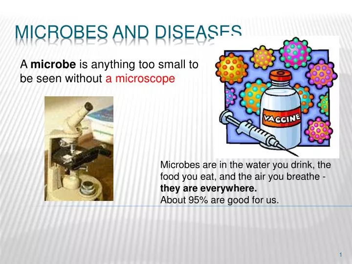 microbes and diseases