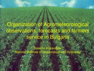 Organization of Agrometeorological observations, forecasts and farmers service in Bulgaria Valentin Kazandjiev National