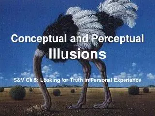 Conceptual and Perceptual