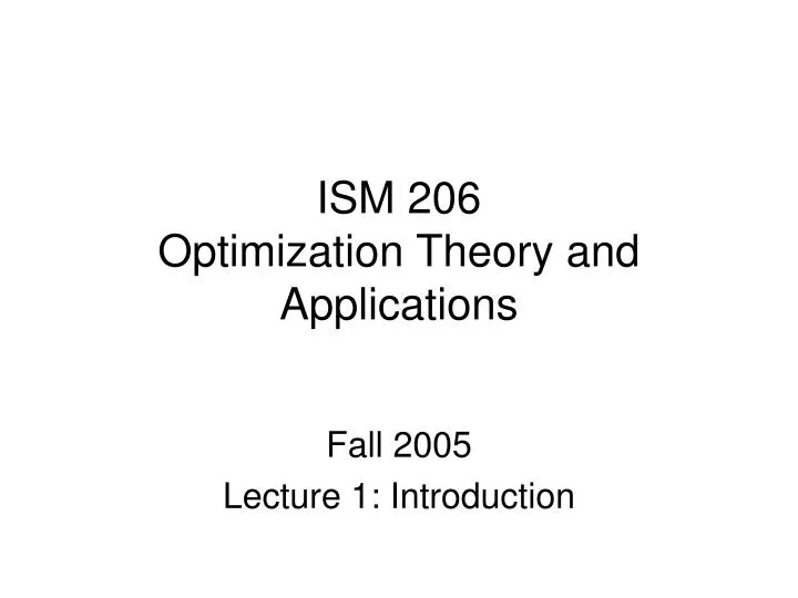 ism 206 optimization theory and applications