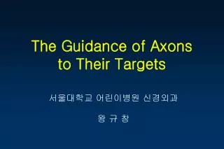 The Guidance of Axons to Their Targets