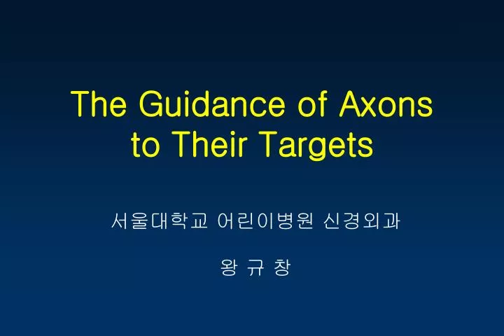 the guidance of axons to their targets
