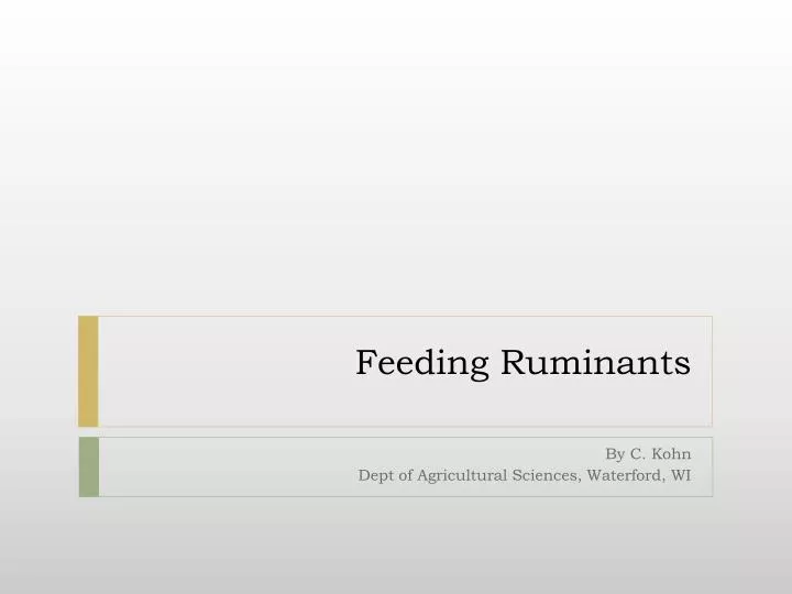 feeding ruminants