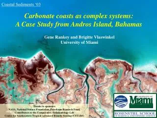 Carbonate coasts as complex systems: A Case Study from Andros Island, Bahamas