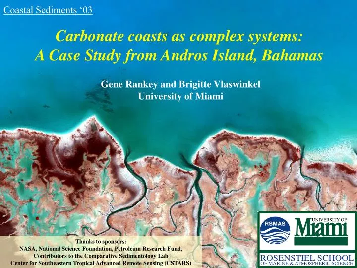 carbonate coasts as complex systems a case study from andros island bahamas