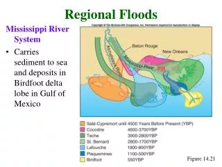 Mississippi River System Carries sediment to sea and deposits in Birdfoot delta lobe in Gulf of Mexico