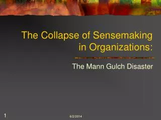 The Collapse of Sensemaking in Organizations: