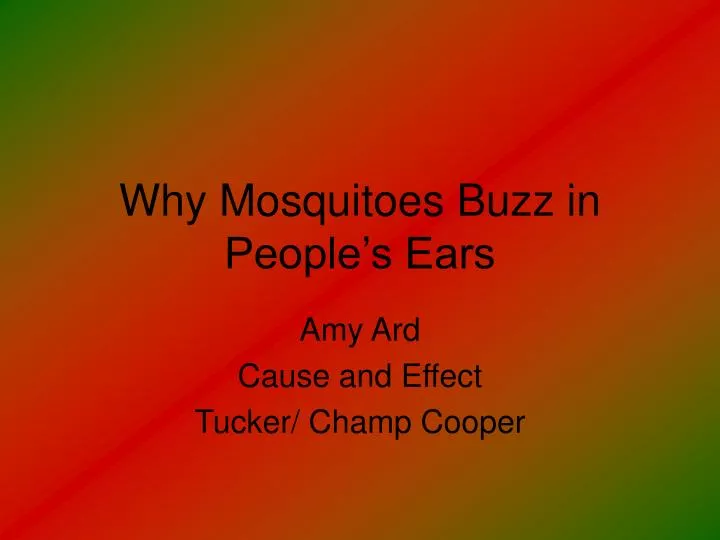 why mosquitoes buzz in people s ears