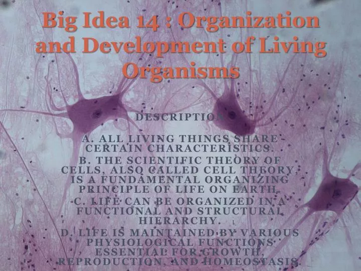 big idea 14 organization and development of living organisms