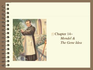 Chapter 14~		 Mendel &amp; 		The Gene Idea