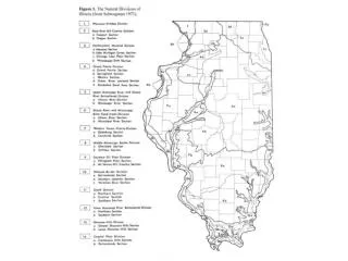 Skunk cabbage – Upper Mississippi River and Illinois River Bottomlands