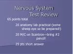 Nervous System - slide 1