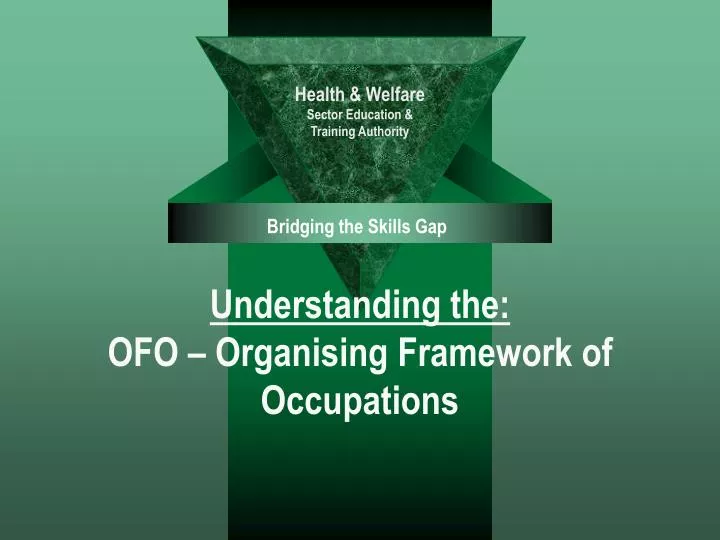 understanding the ofo organising framework of occupations
