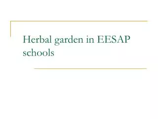Herbal garden in EESAP schools