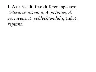 As a result, five different species: Asteraeus eximion, A. peltatus, A. coriaceus, A. schlechtendalii , and A. reptans