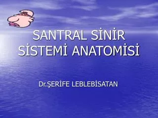 santral s n r s stem anatom s