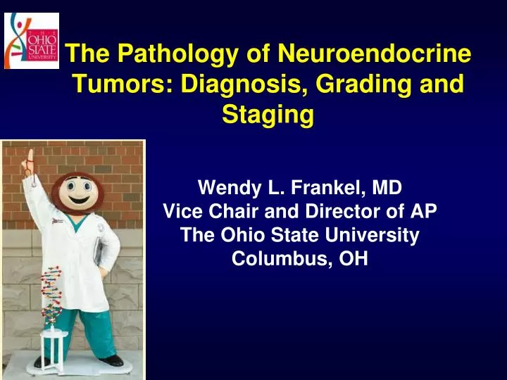 the pathology of neuroendocrine tumors diagnosis grading and staging