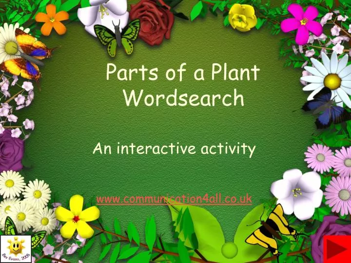 parts of a plant wordsearch
