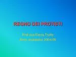 REGNO DEI PROTISTI - slide 1