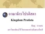 อาณาจักรโปรติสตา - slide 1