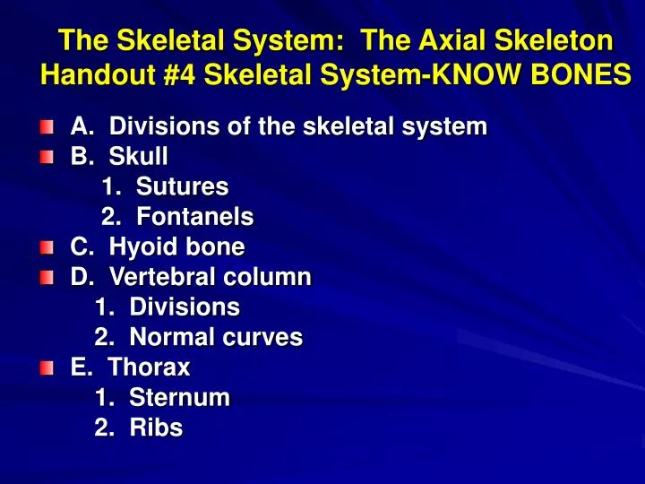 the skeletal system the axial skeleton handout 4 skeletal system know bones