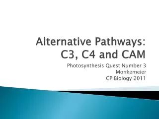 Alternative Pathways: C3, C4 and CAM
