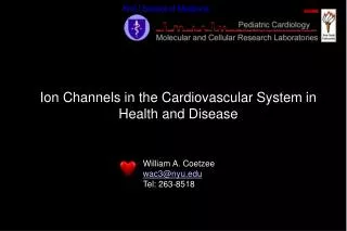 Ion Channels in the Cardiovascular System in Health and Disease
