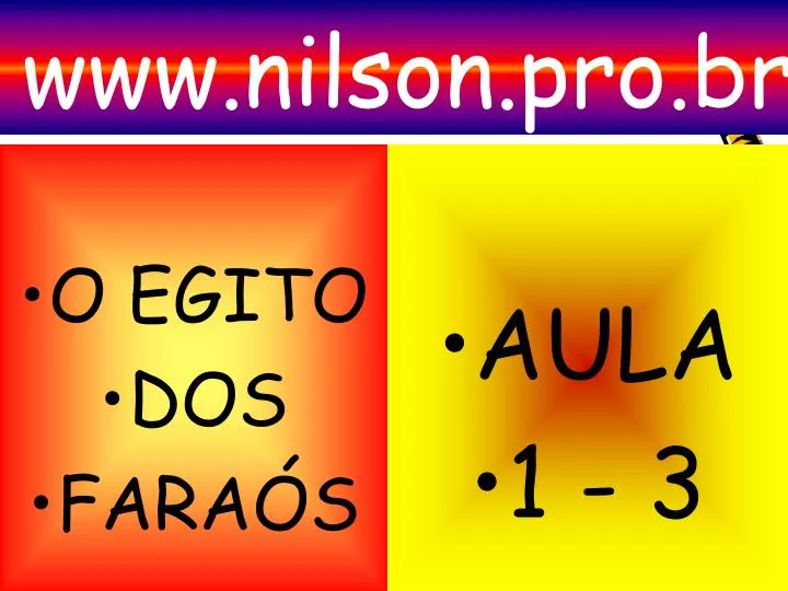 www nilson pro br