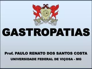 Prof. PAULO RENATO DOS SANTOS COSTA UNIVERSIDADE FEDERAL DE VIÇOSA - MG