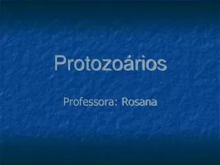 professora rosana