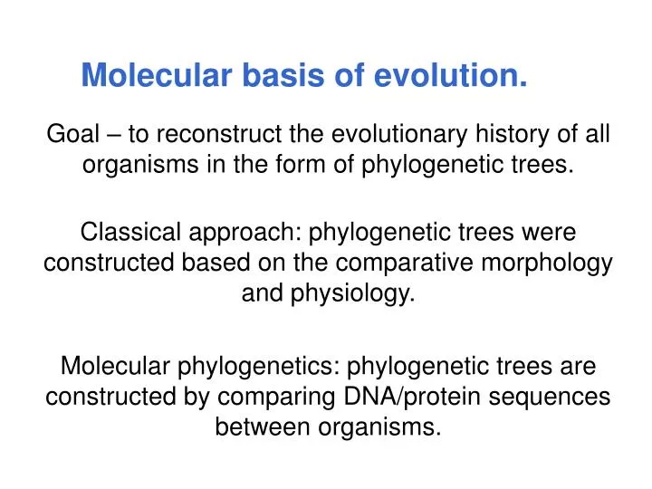 molecular basis of evolution