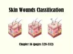 Skin Wounds Classification - slide 1